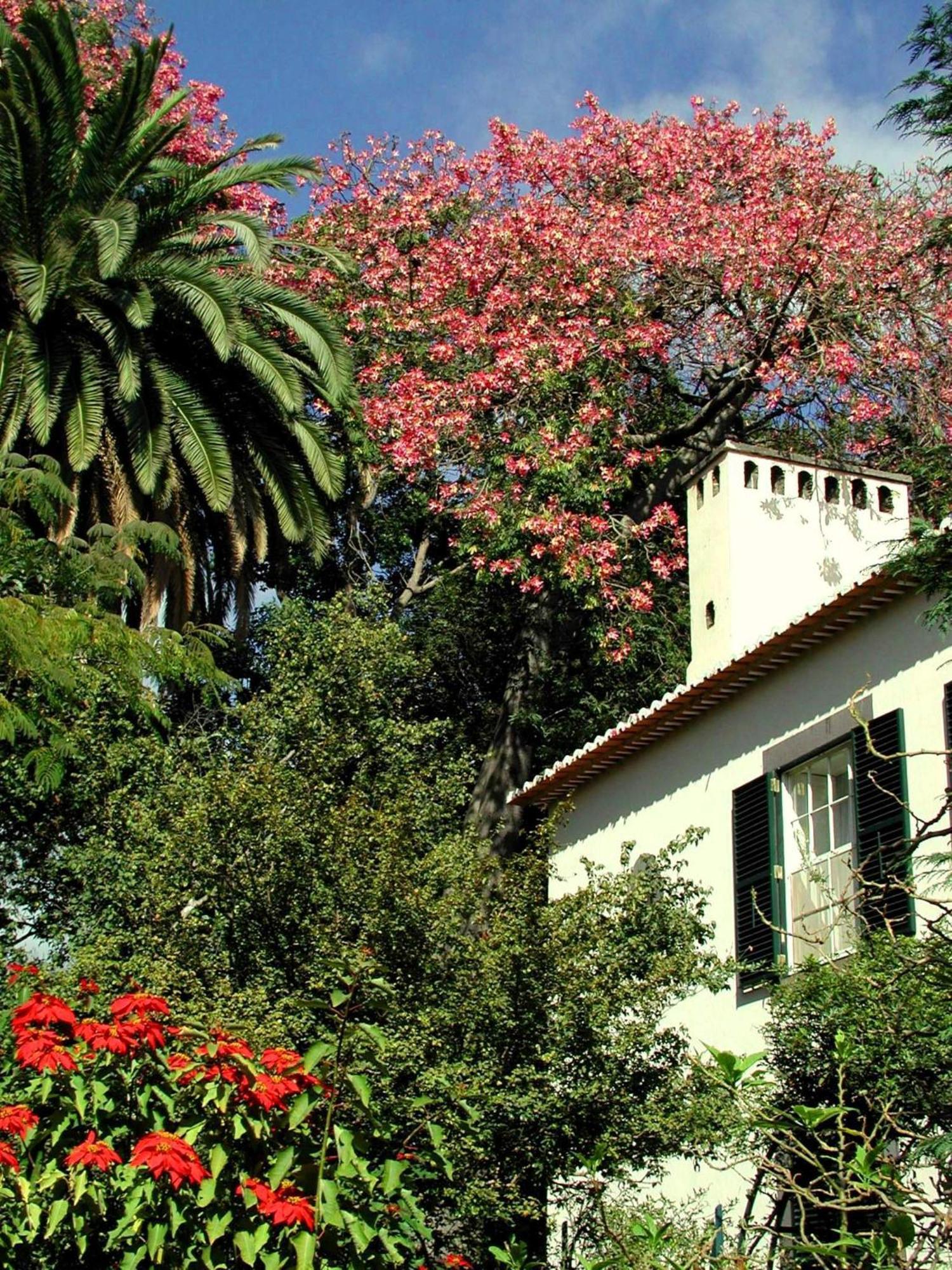 Quinta Da Bela Vista Hotel Funchal  Ngoại thất bức ảnh